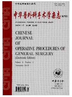 中华普外科手术学杂志（电子版）