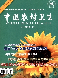 中国农村卫生《2019年3期》